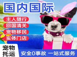 厦门空运公司国际宠物托运 【国